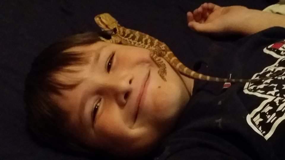 fb_img_1453268152197